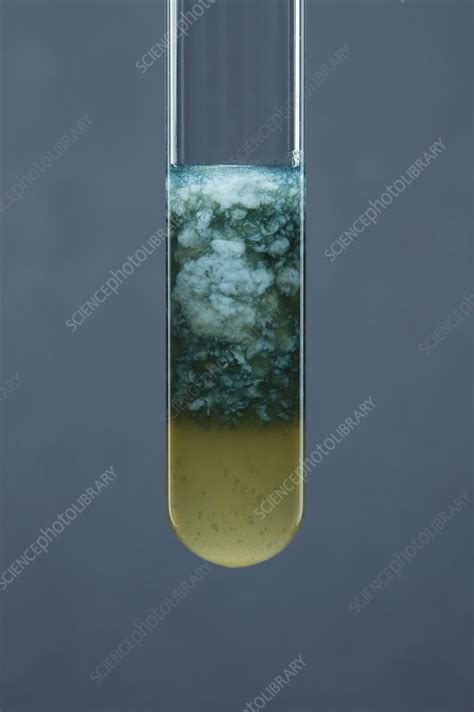 Iron (II) carbonate precipitate - Stock Image - C028/0742 - Science ...