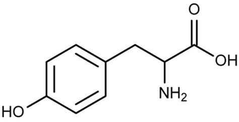 The Amino Acid Tyrosine - Natures Trail Wellness Center