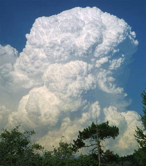 Facebook | Clouds, Cumulus clouds, Weather cloud