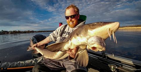 Rainy River sturgeon fishing: Complete how-to guide – Target Walleye