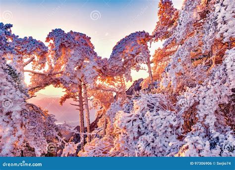 Winter Sunrise Landscape in Huangshan National Park Stock Photo - Image ...