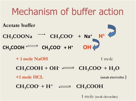 Buffer solution and Buffer Action - Chemistry, Class 11, Ionic Equilibrium