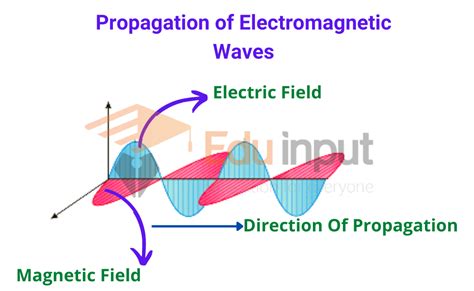 Why is Electromagnetic Wave a Transverse Wave?