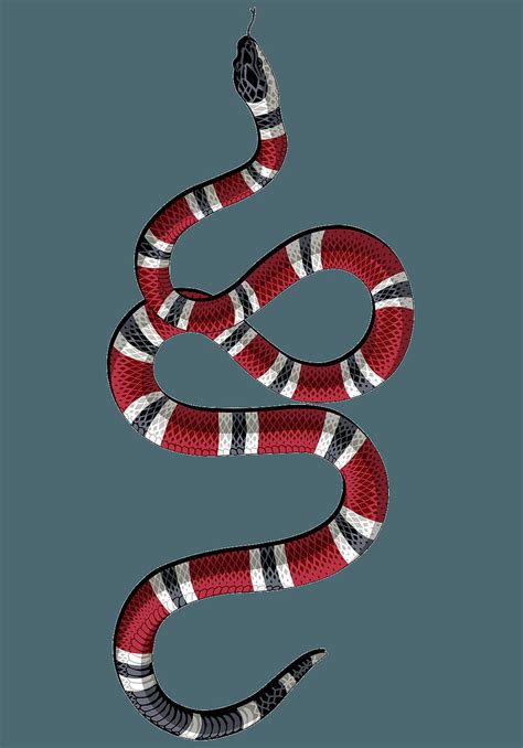 Update 63+ gucci snake wallpaper - in.cdgdbentre