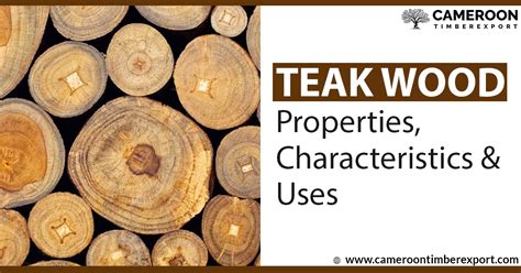 Teak Wood : Properties, Characteristics & Uses in Detail