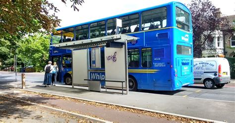 Floating bus stops making cyclists' lives safer, report says ...