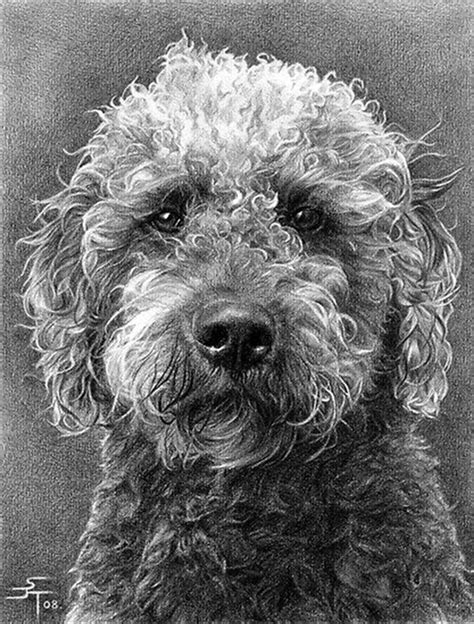 50+ Easy Pencil Drawings of Animals That Look So Realistic