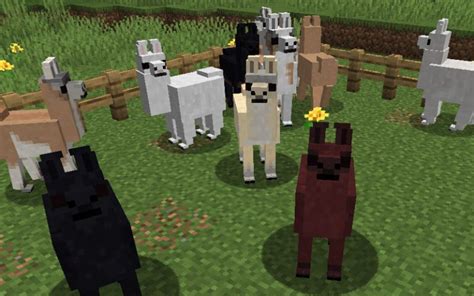 How To Ride A Llama In Minecraft: The Ultimate Guide - How To Game