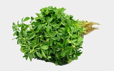 Fenugreek Leaves Benefits and Uses