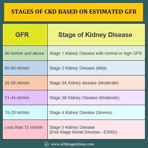 eGFR Calculator for adult patients - All Things Kidney ~ Official