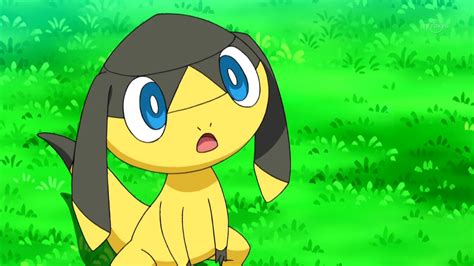 Alexa's Helioptile (anime) | Pokémon Wiki | FANDOM powered by Wikia