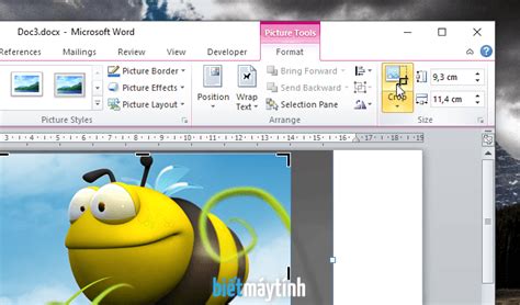 Muốn cắt ảnh / crop ảnh trong Word? Dùng 3 cách này nhé! | Biết máy ...