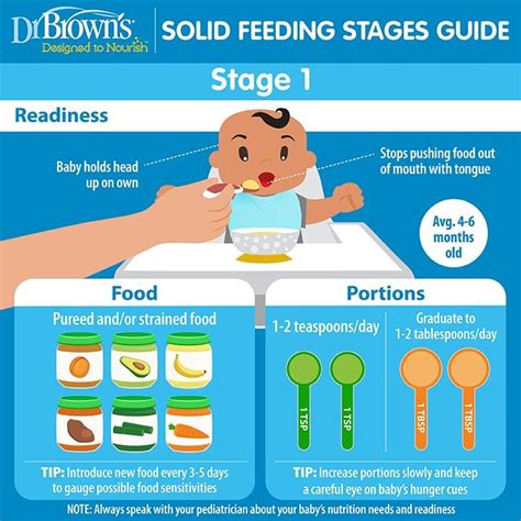 Solid Feeding Stages Guide for Babies | Baby food recipes, Baby food by ...