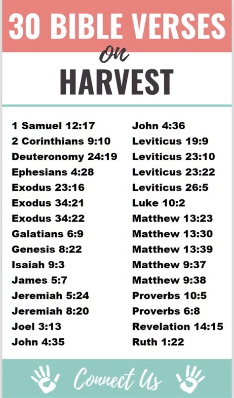 30 Uplifting Bible Scriptures on Harvest – ConnectUS