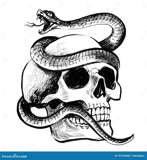 Skull With Snake Cartoon Vector | CartoonDealer.com #57889455