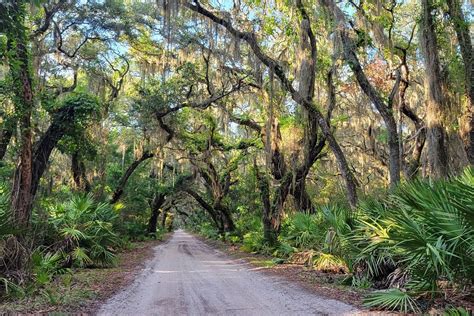 Hidden Gems: Explore These Lesser-Known Hiking Trails in the U.S ...