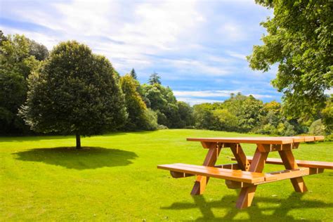 Park Picnic Table Stock Photos, Pictures & Royalty-Free Images - iStock