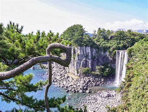 11 Things to Do in Jeju Island: The Korean Island of Love and Lava