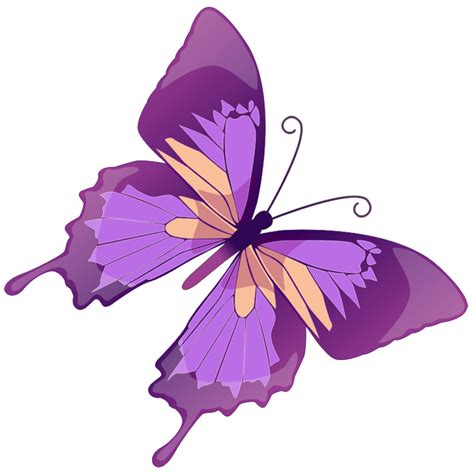 purple butterfly png clipart - Clipground