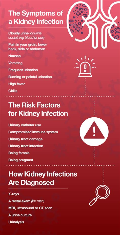 Kidney Infection