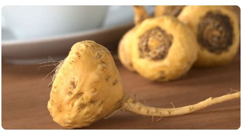 What Is Maca Coffee? Benefits, Taste, & More | The Botanical Institute