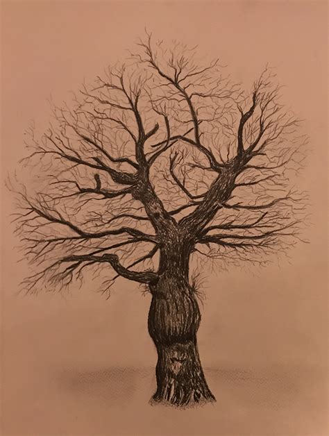 Tree Drawing Ideas