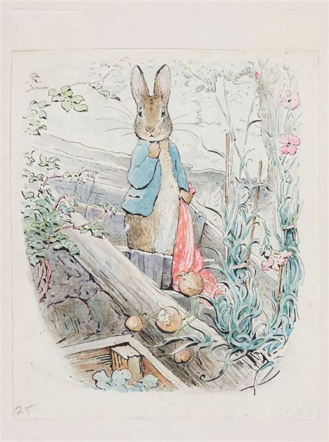 In Pictures: See Beloved Author Beatrix Potter’s Magical Drawings From ...