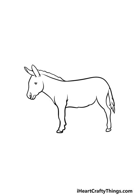 Donkey Drawing - How To Draw A Donkey Step By Step