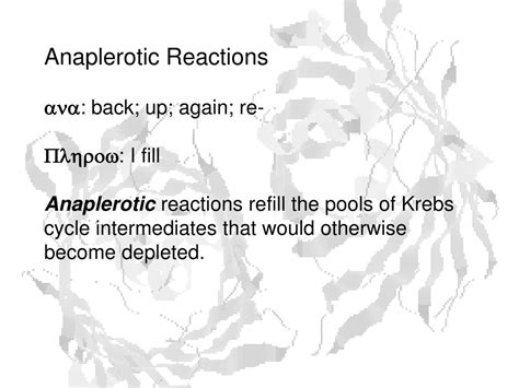 PPT - Anaplerotic Reactions PowerPoint Presentation, free download - ID ...