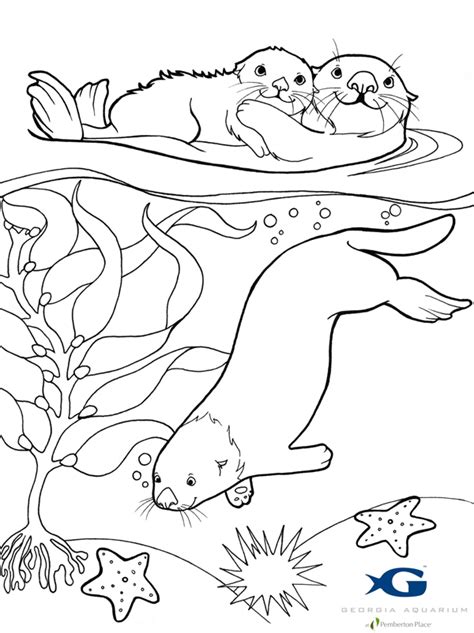 Otter Line Drawing at GetDrawings | Free download