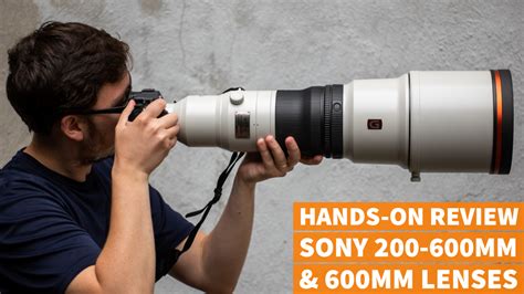 A Weekend with the Sony 200-600mm and 600mm Lenses | B&H eXplora