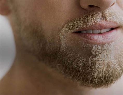 Top 15 Beard Styles for Men | Gillette on Demand