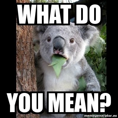 Meme Koala - What do you mean? - 19314724