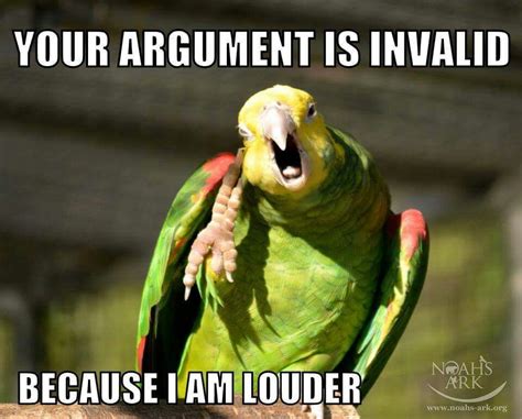 The Absolutely Best Bird Memes Ever