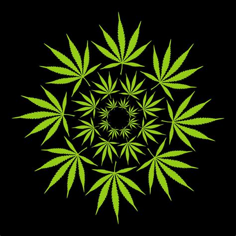 Cannabis Leaf Circle Digital Art by Thisis Notme