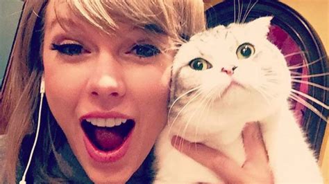 Watch Access Hollywood Interview: Meow! Taylor Swift Confirms 'Cats ...