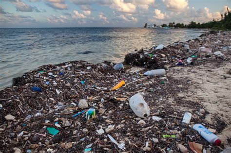 5 Mind-Blowing Solutions to the Global Plastic Pollution Plague