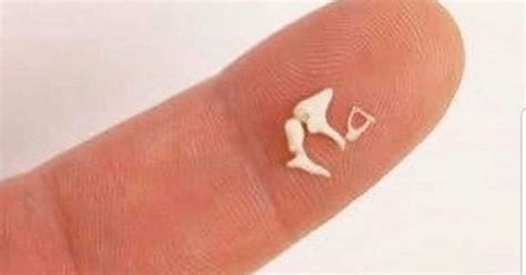 The Smallest Bones In our Body Make a Big Difference - Hearing ...