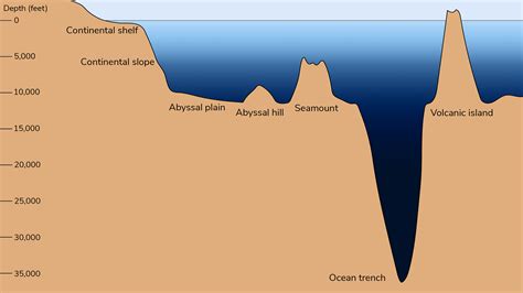 Ocean Floor Diagram Seamount | Review Home Co