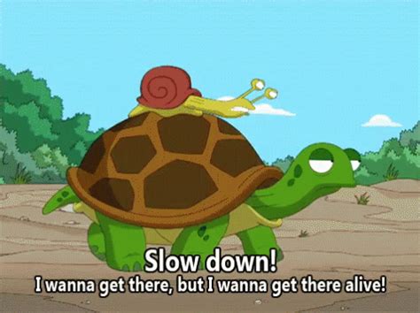 Slow GIF - Slow Snail SlowDown - Discover & Share GIFs