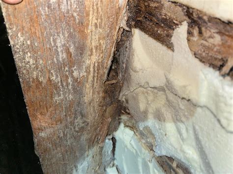 Rotten Timbers, Roof Degradation | Spray Foam Insulation Problems