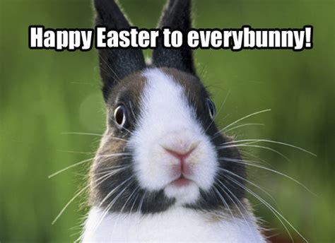 15+ Funny Easter Memes That’ll Make You Laugh - Happy Easter 2020 ...