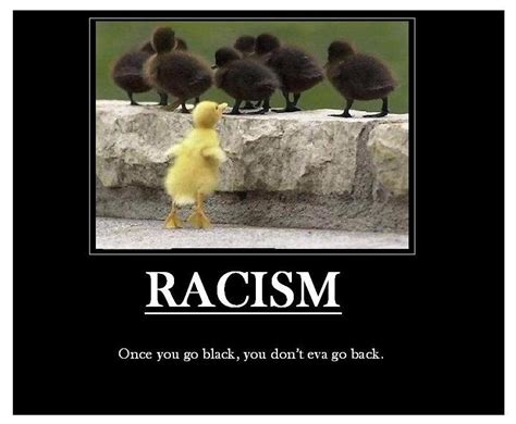 Demotivational racism by Nightsangel666 on DeviantArt