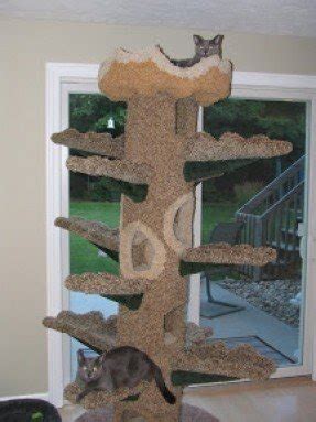 Cat Condos For Large Cats - Ideas on Foter