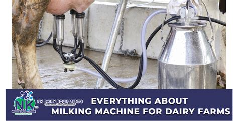 Everything About Milking Machine for Dairy Farms