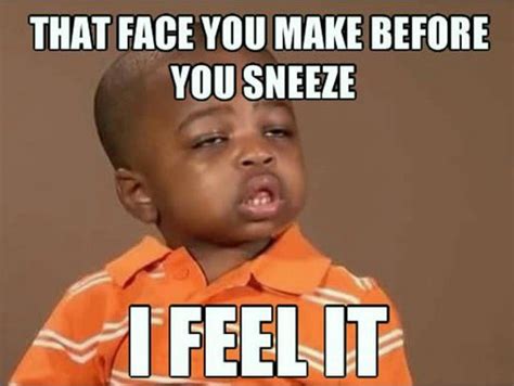 Face You Make Before Sneeze Funny Meme – FUNNY MEMES