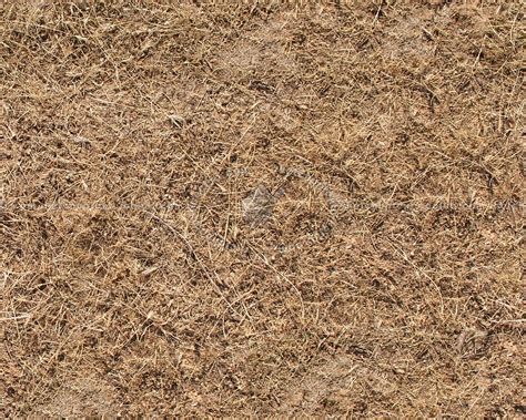 Dry grass texture seamless 12928