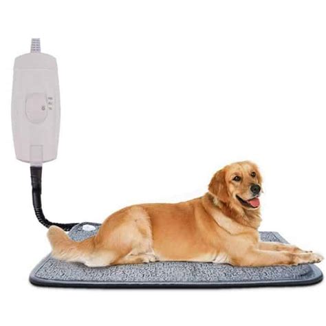 Heated Dog Bed - Suckstobebroke - Accessories for Dog