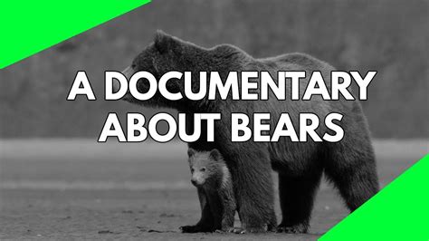 Wildlife Documentary: A full length documentary about the life of Bears ...