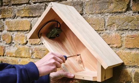 Best Birdhouse Cameras Guide - Birding Insider